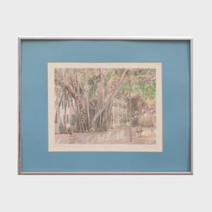 Kennedy N.E,The Banyan Tree, Key West,Stair Galleries US 2019-02-15