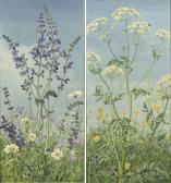 KERNER F. K 1900-1900,Cow parsley and a ladybird,1935,Christie's GB 2010-09-07