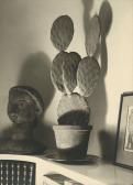 KESSELS Willy 1898-1974,Cactus and sculpture,1934,Galerie Bassenge DE 2021-06-16