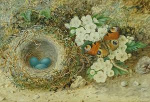 Kettlewell John William,still life birds nest and butterfly,Burstow and Hewett GB 2018-03-22