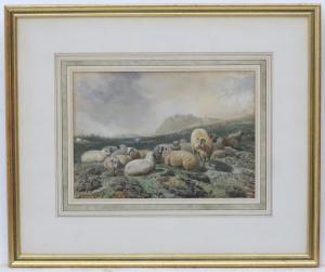 KEYL Friedrich Wilhelm 1823-1871,Sheep on a hill side,Dickins GB 2019-09-16