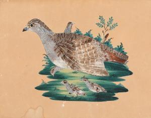 KIEBITZ Wilhelm 1869,Portrait af a partridge,Bruun Rasmussen DK 2024-01-08