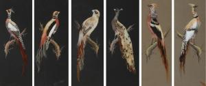KIEBITZ Wilhelm 1869,Six portraits of birds,Bruun Rasmussen DK 2024-02-05