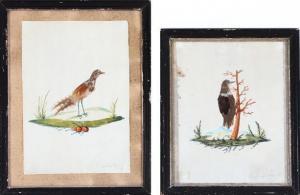 KIEBITZ Wilhelm 1869,Two feather pictures,19th century,Bruun Rasmussen DK 2021-10-04