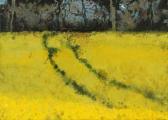 KIELY Bernadette 1958,THE RAPE FIELD,2009,De Veres Art Auctions IE 2016-10-04