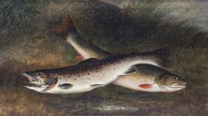 KILBOURNE Samuel A 1836-1881,Trout on the Bank,1877,Copley US 2024-02-23