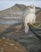 KING Gerald,GREENLAND FALCON,Ross's Auctioneers and values IE 2013-10-09