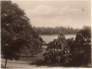 KING Henry,Sydney: Partie aus dem botanischen Garten (Botanic,1880-1900,Webb's NZ 2022-03-07