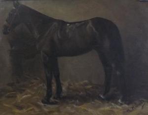 KIRANSE M,Horse in a loosebox,David Lay GB 2013-11-07