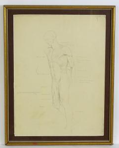KIRBY Josh,An anatomical drawing from an oblique view of a ma,Claydon Auctioneers 2023-12-30