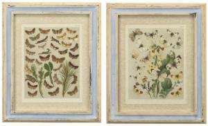 KIRBY William 1844-1912,A SET OF TWENTY-FOUR HAND COLOURED LITHOGRAPHED PL,Christie's GB 2008-03-11