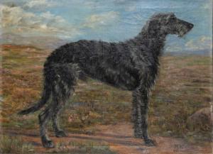 KIRMSE Marguerite 1885-1954,Scottish Deerhound on a Moor,1915,William Doyle US 2024-04-16