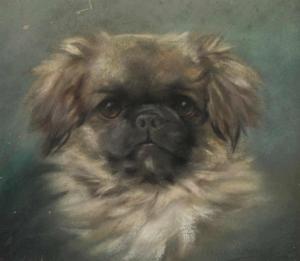 KIRMSE Persis 1884-1955,Hundeportrait,Von Zengen DE 2019-11-29