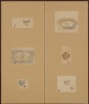 KITAOJI Rosanjin 1883-1959,Online Sale,Mainichi Auction JP 2023-12-20