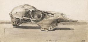 KITTENDORF Johan Adolph,Studie eines Schafschädels,1845,Galerie Bassenge DE 2018-11-30