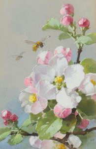 KLEIN Catarina 1861-1929,APPLE BLOSSOM,Ross's Auctioneers and values IE 2023-11-08