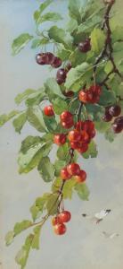 KLEIN Catarina 1861-1929,CHERRIES,Ross's Auctioneers and values IE 2023-11-08