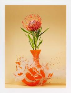 KLIMAS Martin 1971,Untitled (Protea nutan),2007,Van Ham DE 2020-06-10