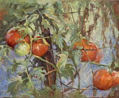 KLINKER Jeff,Tomatoes,Wickliff & Associates US 2007-10-28