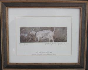 KNAPP FISHER John 1931-2015,Goat,Peter Francis GB 2018-07-11