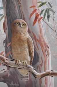 KNIGHT Frank H 1900-1900,Rufous Owl,1988,Elder Fine Art AU 2016-11-13