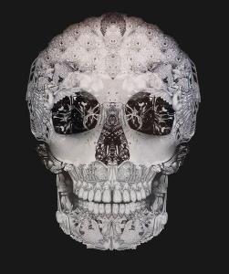 KNIGHT Gary 1964,Jewelled skull (vanitas),2009,Arts Conseils FR 2011-07-08