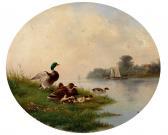 KNIP August 1819-1859,Entenfamilie am Ufer eines Flusses,Zeller DE 2012-04-12