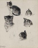 KNOBLOCH Getrud 1867,Studienblatt mit Kätzchen,Galerie Bassenge DE 2014-11-28