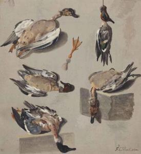 KNOLL Francois Cornelis 1772-1827,Studies of a teal duck and other wild duck,Christie's 2015-05-13