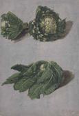 KNOLL Francois Cornelis 1772-1827,Studies of cauliflowers,Christie's GB 2015-05-13