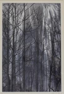ko si chi 1929,Untitled (Waterfalls and Trees),1986,Skinner US 2017-11-17