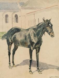 KOCH Ludwig 1866-1934,Black horse,im Kinsky Auktionshaus AT 2015-06-16