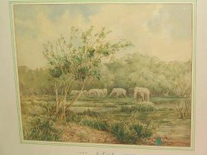 KOCH von Gottlieb 1849-1914,elephants drinking,Bonhams GB 2004-11-23