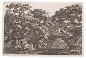KOLBE Carl Wilhelm II 1781-1853,Oaktrees and large weed or herb leaves with,c.1797,Palais Dorotheum 2017-04-04