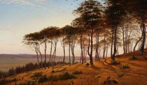 KOLLE C. A,Sunlight through the trees in Vinderød Forest on a,1868,Bruun Rasmussen DK 2017-07-31