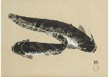 KOMATSU Hitoshi 1902-1989,Catfish,Mainichi Auction JP 2021-09-03