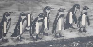 KONDO Masakatsu 1962,Penguins,1994,Christie's GB 2013-04-23