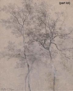 KOPS Jean Baptiste Charles 1824-1848,STUDY OF A TREE,Christie's GB 2004-05-10