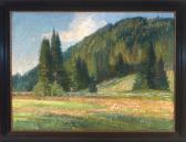 KORTHAUS Carl Adolf 1879-1956,Blick von einer Wiese auf einen bewaldeten Hügel,Allgauer 2009-04-23