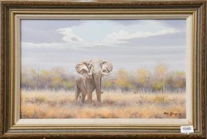 KOSCH Wim 1900,South African Elephant,1996,Tennant's GB 2021-07-09