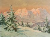 KOSKY 1900-1900,Alpine landscape at sunset,Capes Dunn GB 2011-05-10