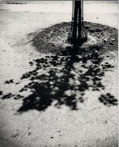 KOWALISKI PAUL,Ombre d\’arbre,1930,Yann Le Mouel FR 2020-10-09