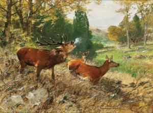 KRÖNER Christian Johann 1838-1911,Red Deer in a Forest Glade,1905,Palais Dorotheum AT 2023-12-12