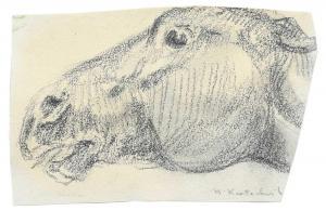 KRATOCHWIL Marian 1906-1997,Study of a horse's head,1929,Woolley & Wallis GB 2023-12-13