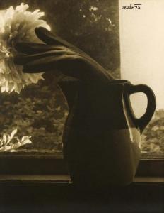 KRIZ Vilém,Untitled (Sirague City- Gloves in Pitcher),1973,Clars Auction Gallery 2020-02-23