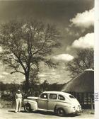 KRUGER PARK 1950,Thirty Wildlife images,1950,Mallams GB 2017-04-25