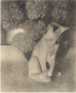 KUHN Heinrich 1866-1944,NATURE-MORTE,1912,Sotheby's GB 2012-05-15