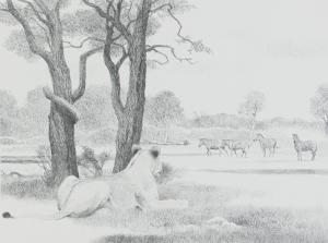 KUHN Robert Edward 1900-1900,Nhloteni Waterhole, Kruger National Park, RSA,Strauss Co. ZA 2021-07-11