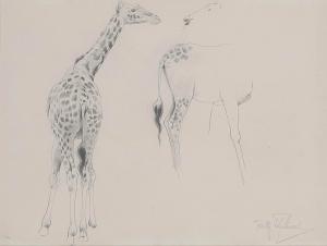 KUHNERT Wilhelm 1865-1926,A study of two giraffes,Christie's GB 2012-05-31