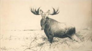 KUHNERT Wilhelm 1865-1926,Elk,Christie's GB 1999-11-18